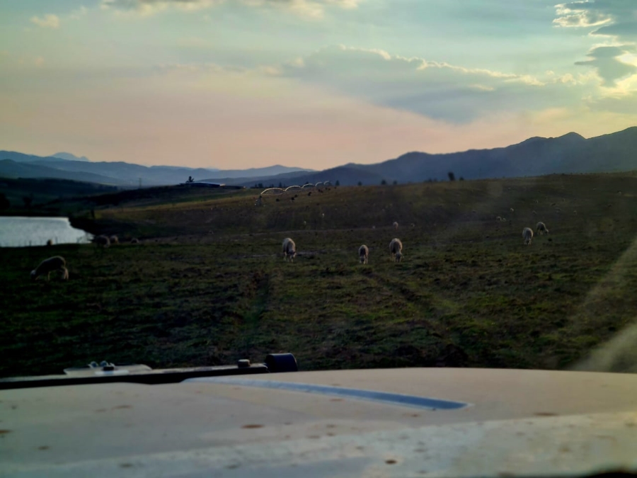 Commercial Property for Sale in Avontuur Western Cape